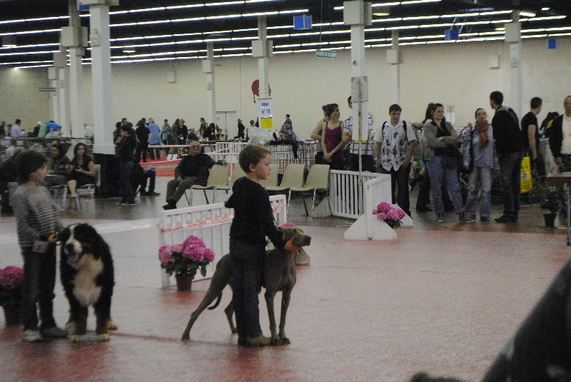 Concours